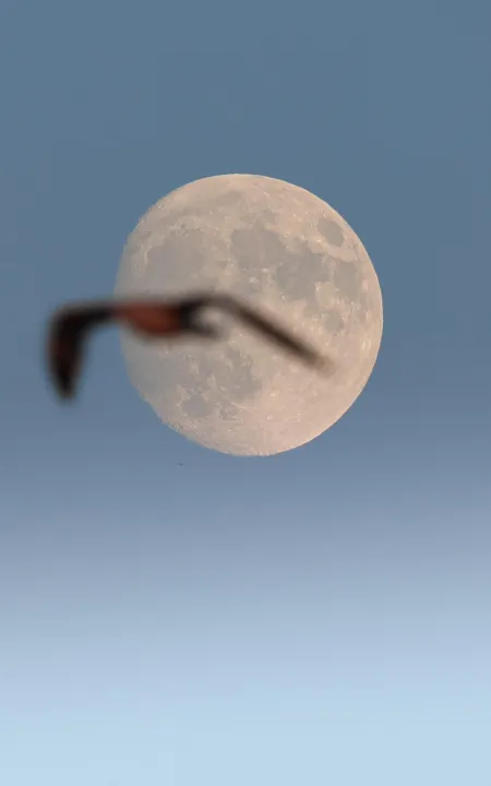 Anın Fotoğrafı