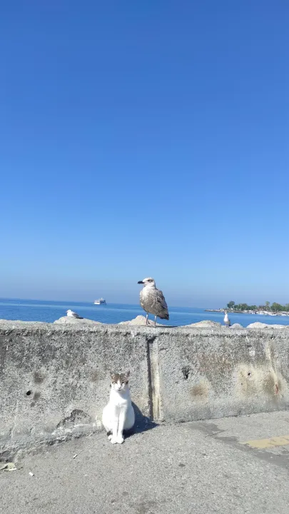 Anın Fotoğrafı