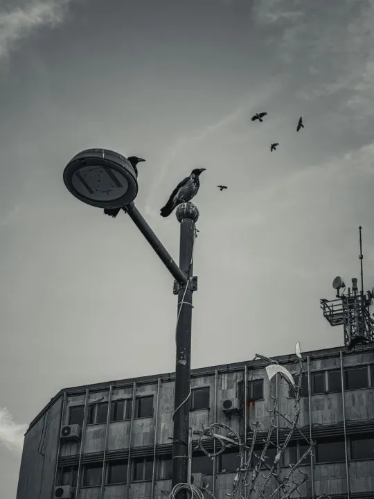 Anın Fotoğrafı