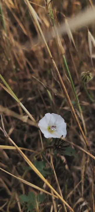 Anın Fotoğrafı