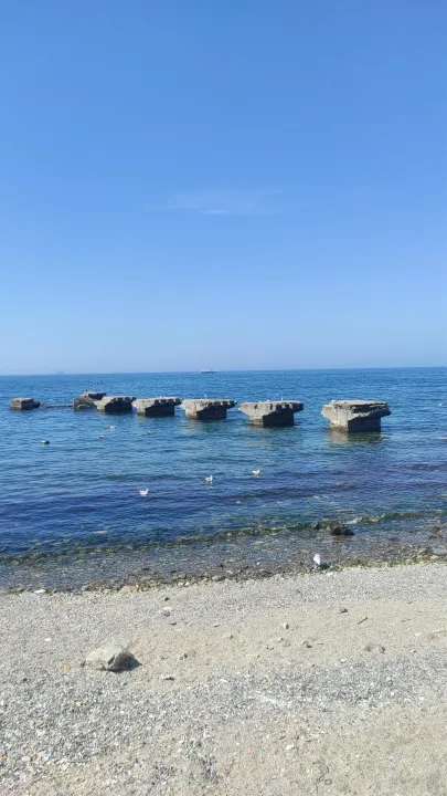 Anın Fotoğrafı