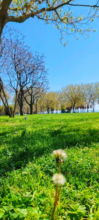 Anın Fotoğrafı