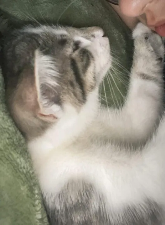 Anın Fotoğrafı