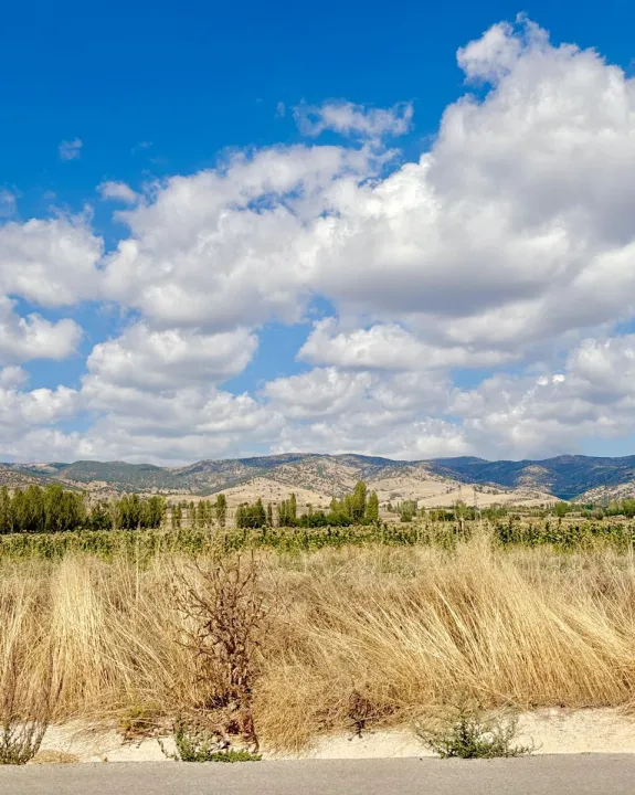 Anın Fotoğrafı