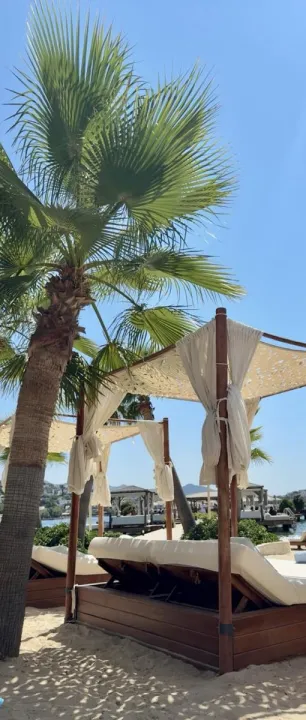 Anın Fotoğrafı