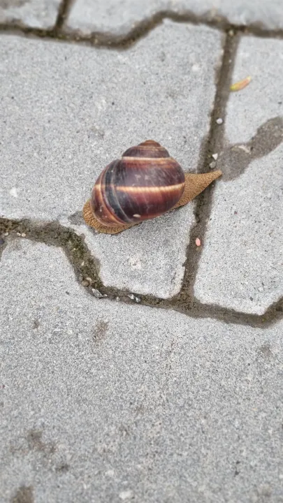 Anın Fotoğrafı