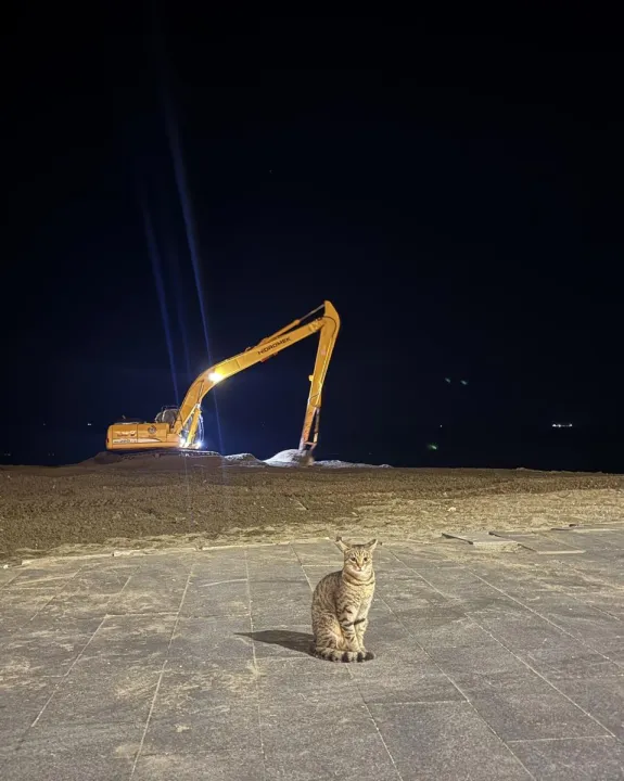 Anın Fotoğrafı