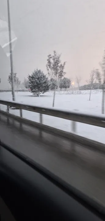 Anın Fotoğrafı