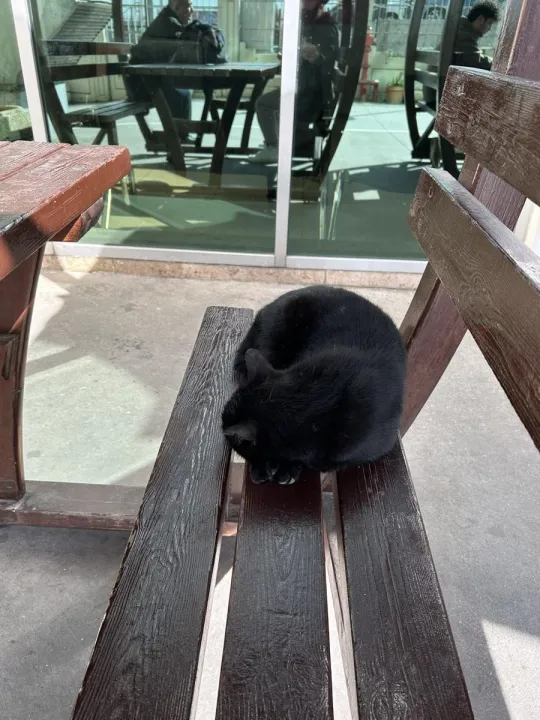 Anın Fotoğrafı