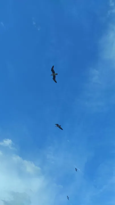 Anın Fotoğrafı