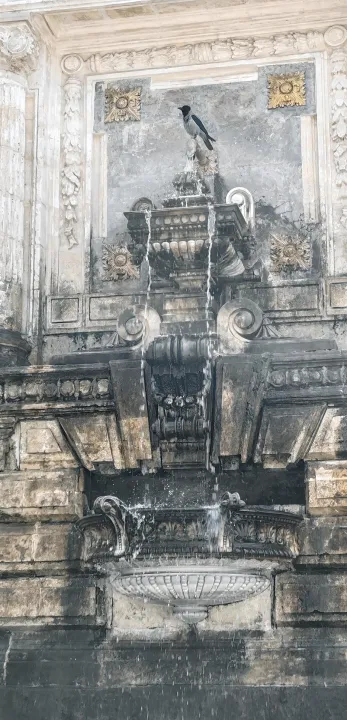 Anın Fotoğrafı