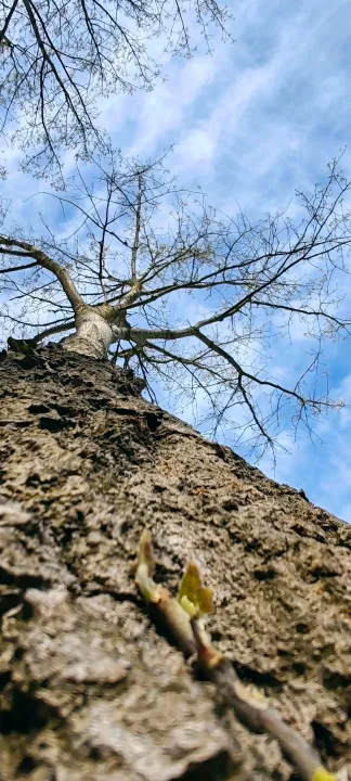 Anın Fotoğrafı