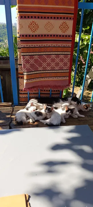Anın Fotoğrafı