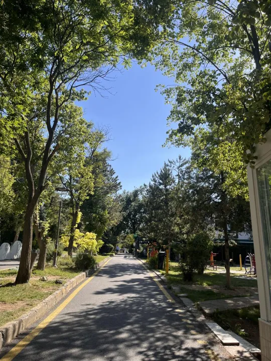 Anın Fotoğrafı