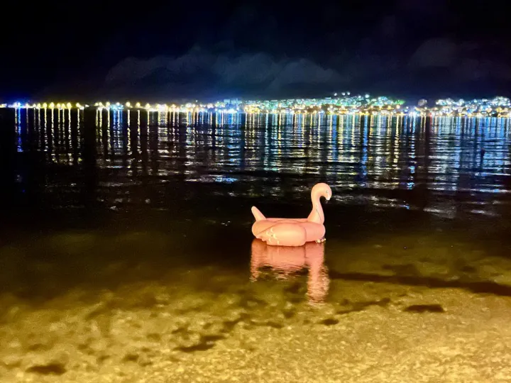 Anın Fotoğrafı