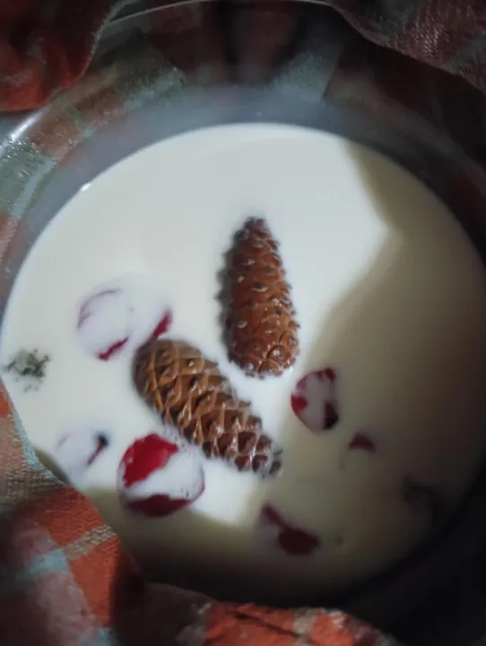 Anın Fotoğrafı