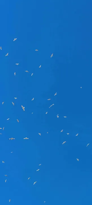 Anın Fotoğrafı