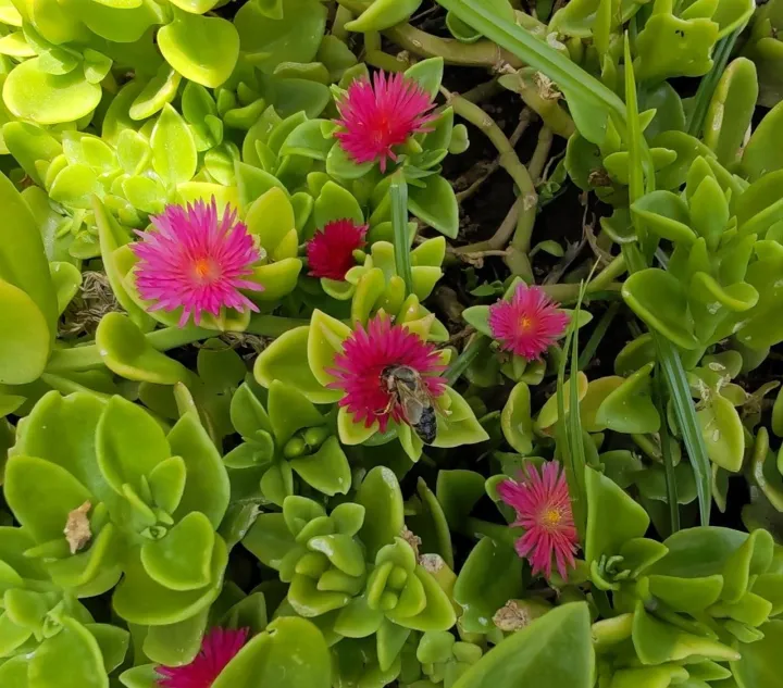 Anın Fotoğrafı