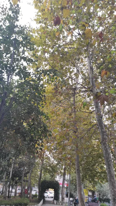 Anın Fotoğrafı