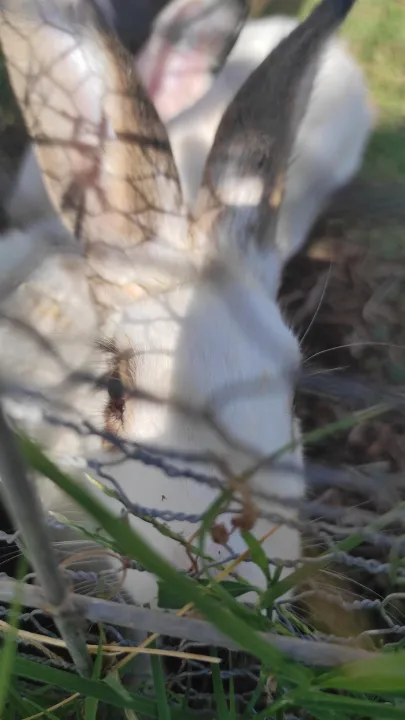 Anın Fotoğrafı