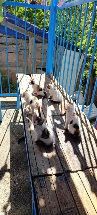 Anın Fotoğrafı