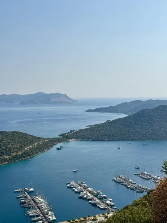 Anın Fotoğrafı