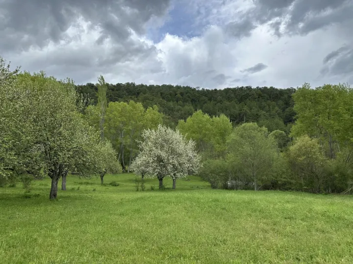 Anın Fotoğrafı