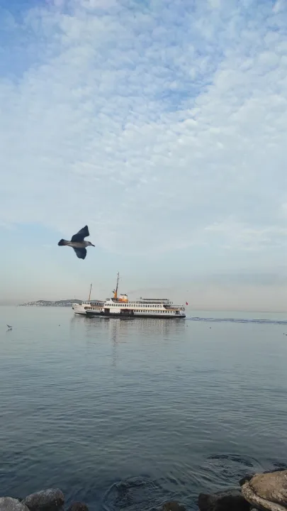Anın Fotoğrafı