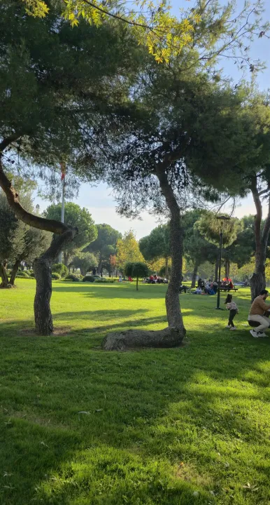 Anın Fotoğrafı