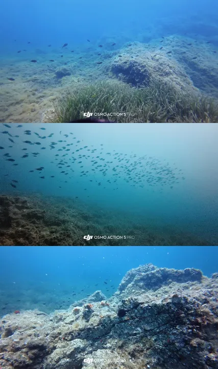 Anın Fotoğrafı