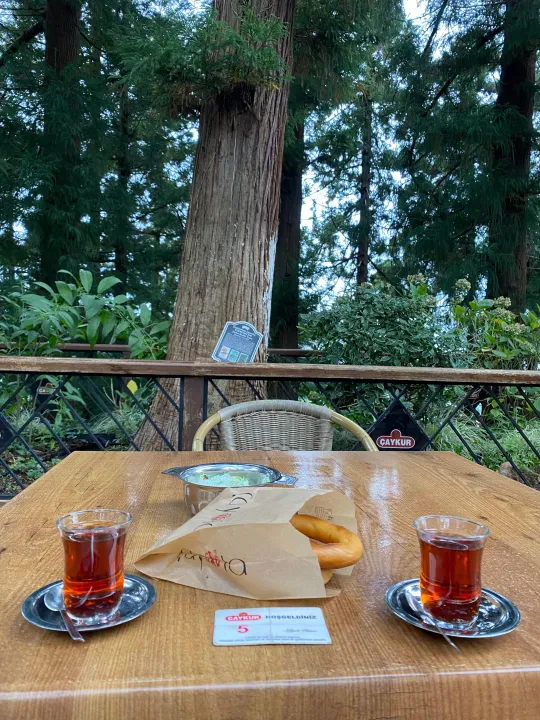 Anın Fotoğrafı
