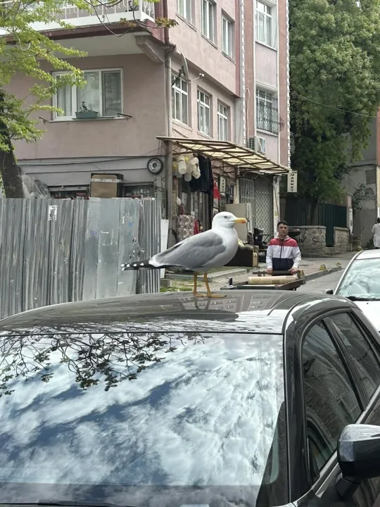 Anın Fotoğrafı