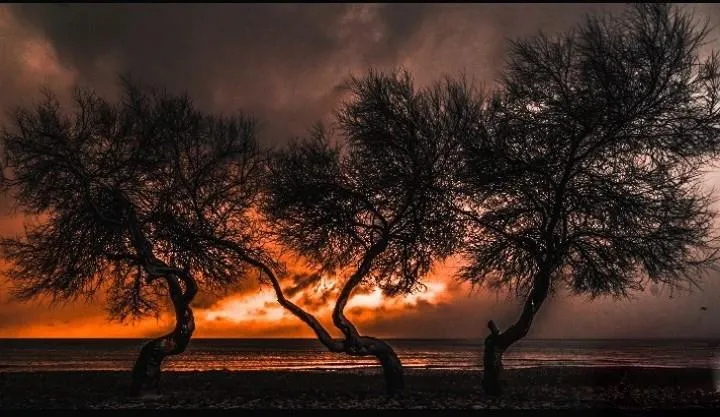 Anın Fotoğrafı