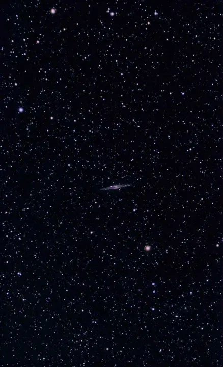 Anın Fotoğrafı