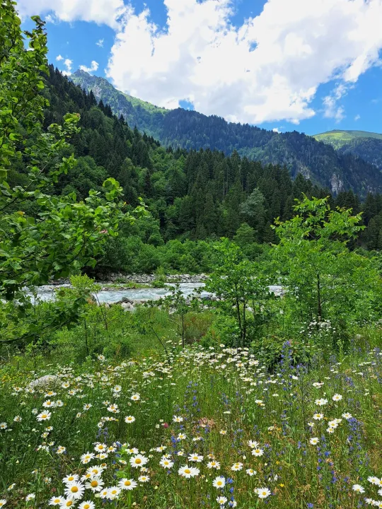 Anın Fotoğrafı