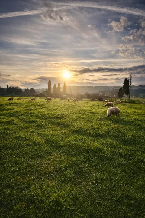 Anın Fotoğrafı
