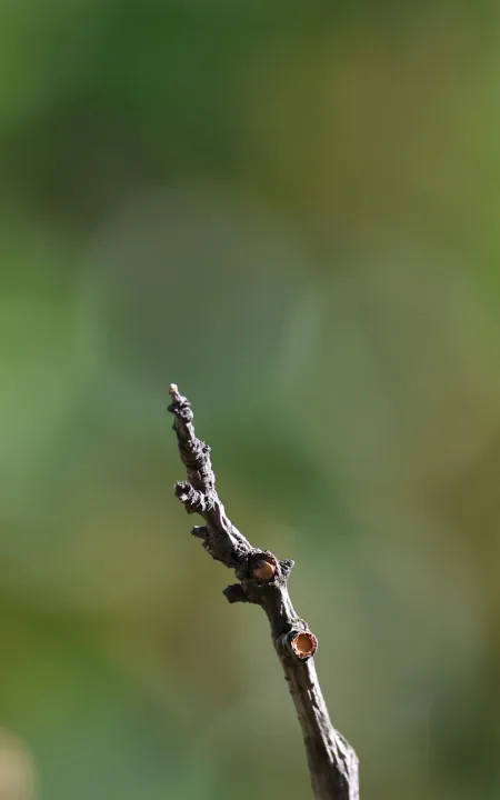 Anın Fotoğrafı
