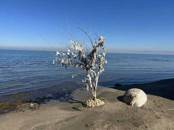 Anın Fotoğrafı