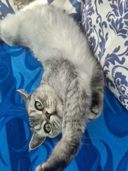 Anın Fotoğrafı