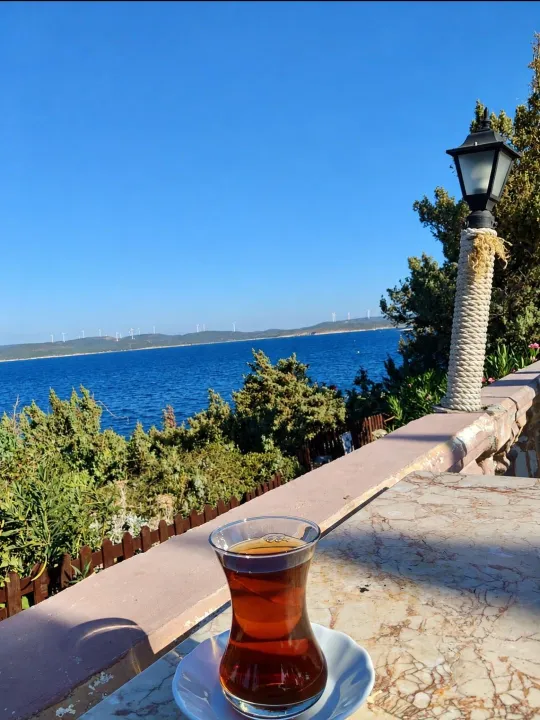 Anın Fotoğrafı