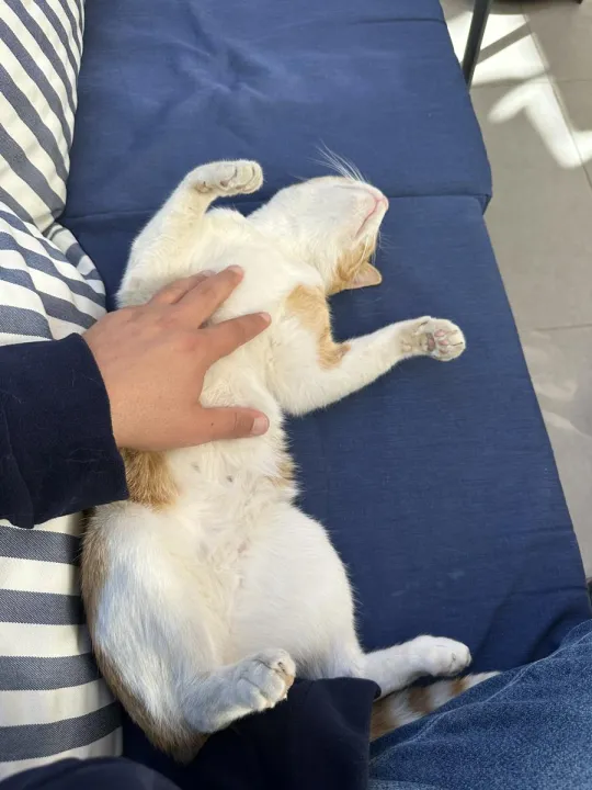 Anın Fotoğrafı