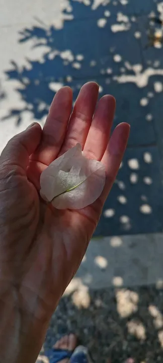 Anın Fotoğrafı