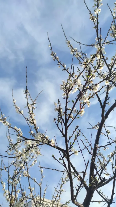 Anın Fotoğrafı