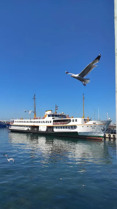 Anın Fotoğrafı