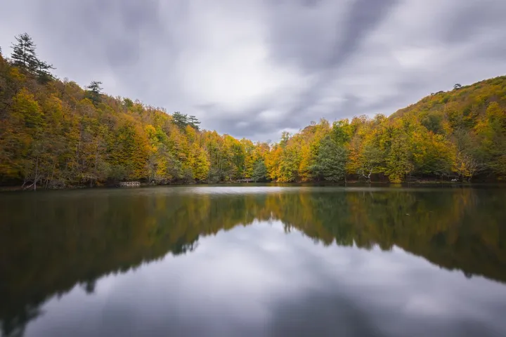 Anın Fotoğrafı