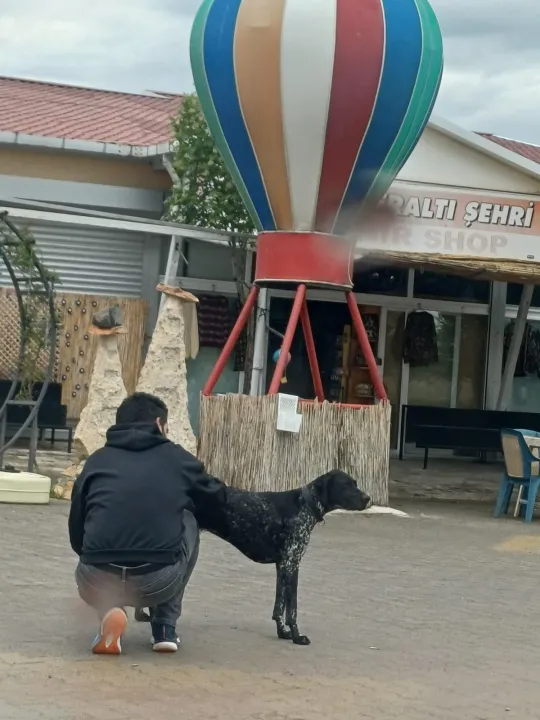 Anın Fotoğrafı