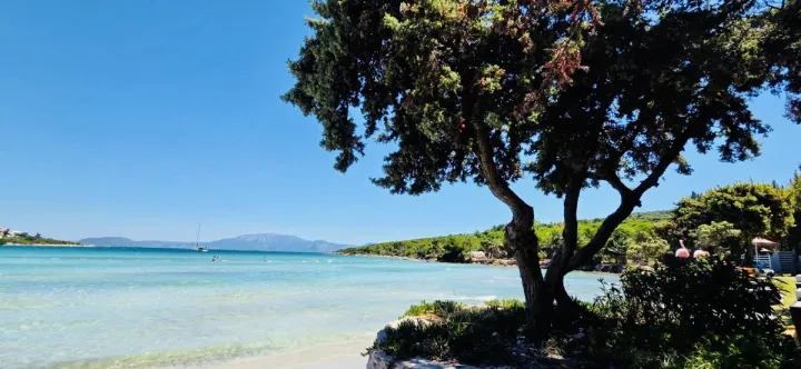 Anın Fotoğrafı