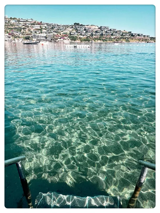 Anın Fotoğrafı