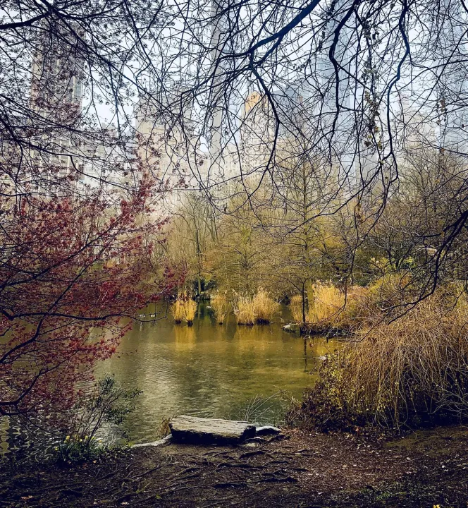 Anın Fotoğrafı