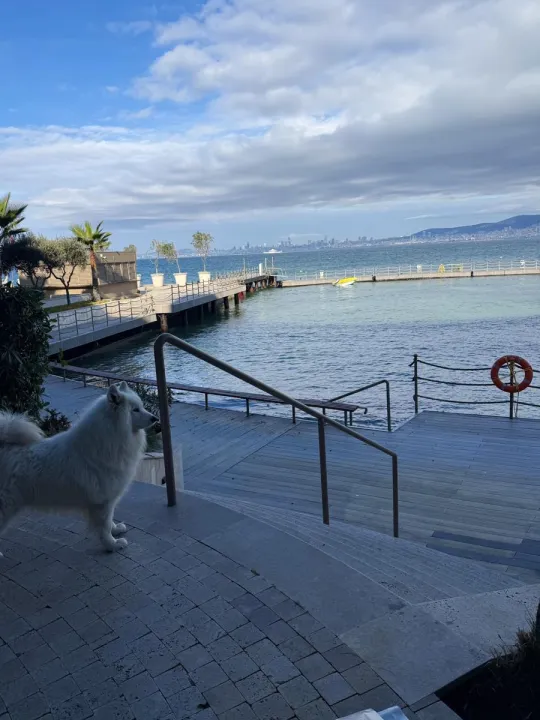 Anın Fotoğrafı